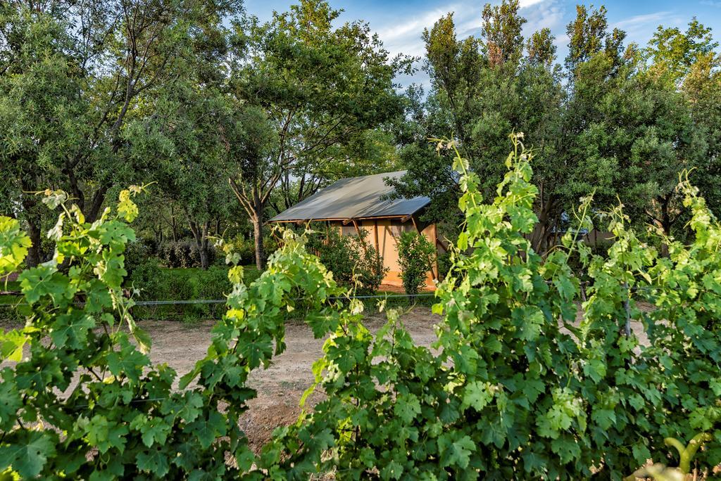 Glamping Tenuta Poggio Rosso Populonia Exterior foto